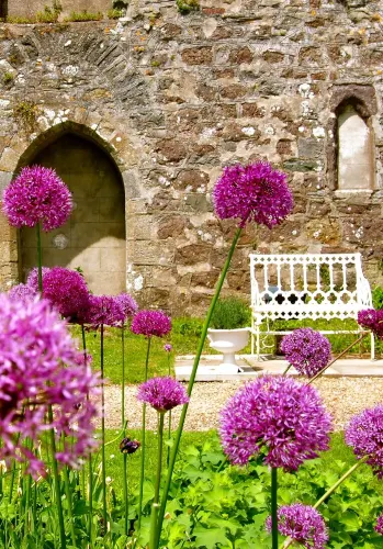 Upton Castle Gardens & Cafe