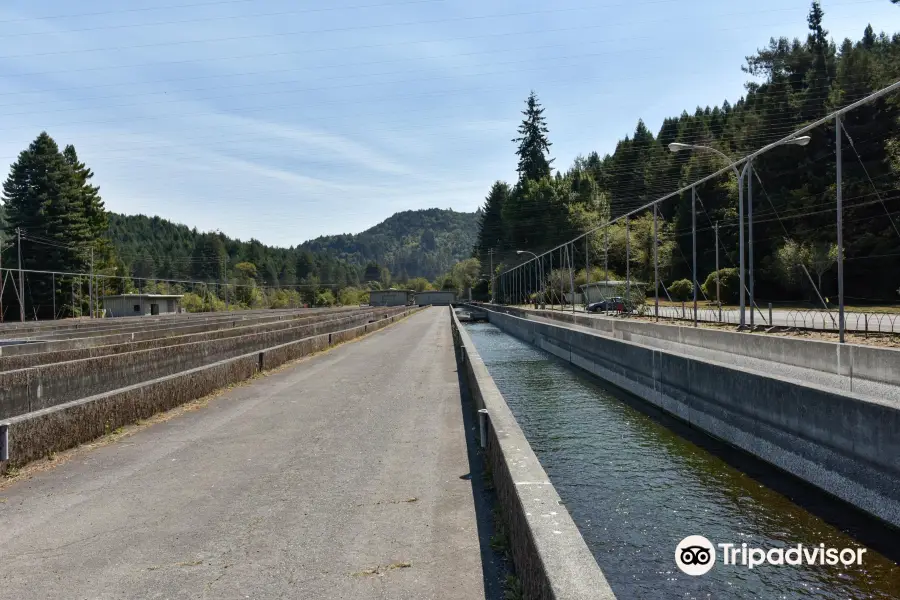 Mad River Hatchery