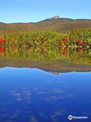 Chocorua Lake