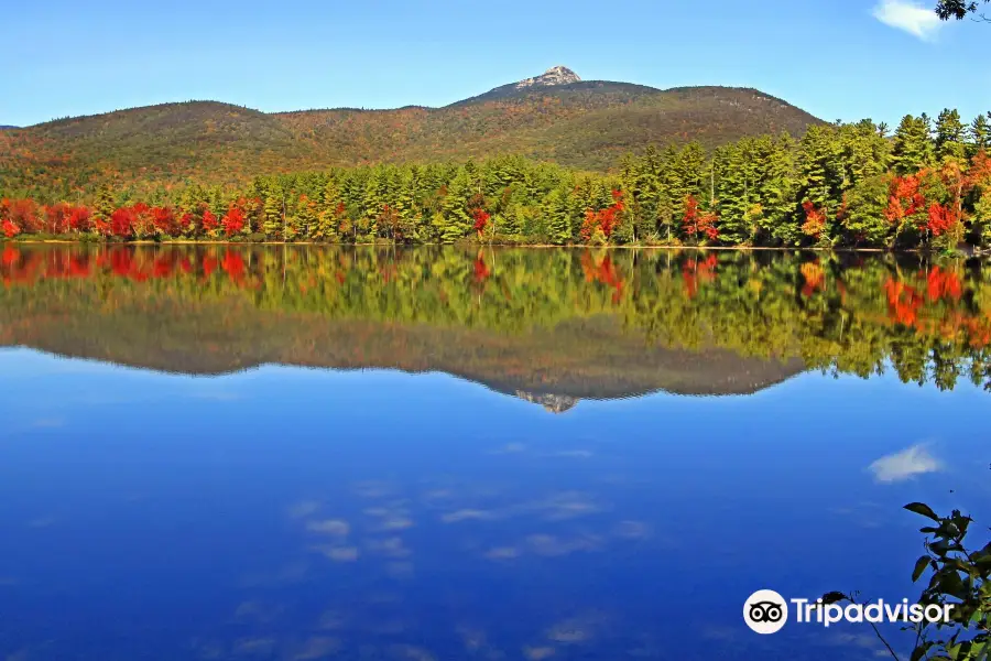 Chocorua Lake