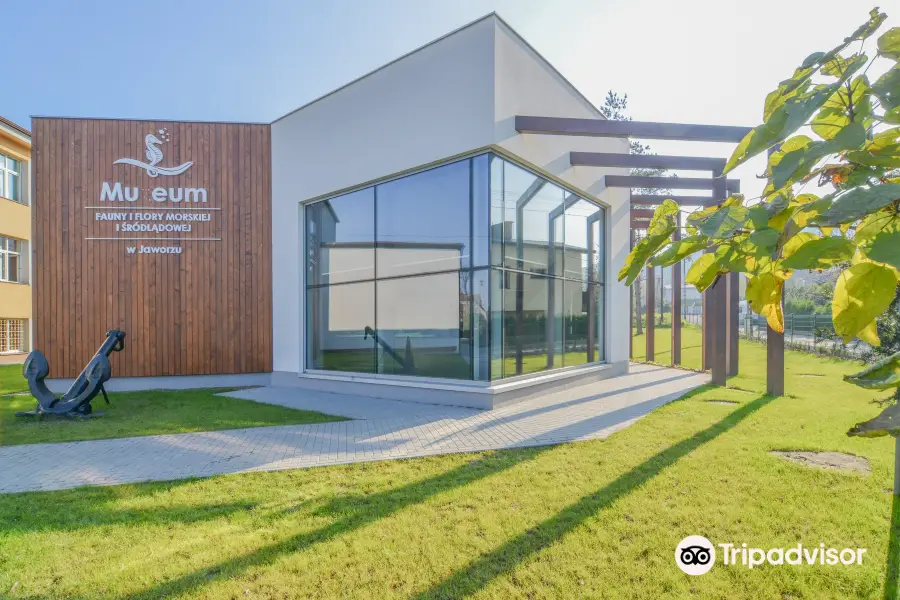 Marine Flora and Fauna Museum