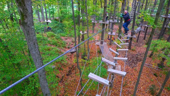 Sky High Aerial Adventure Park