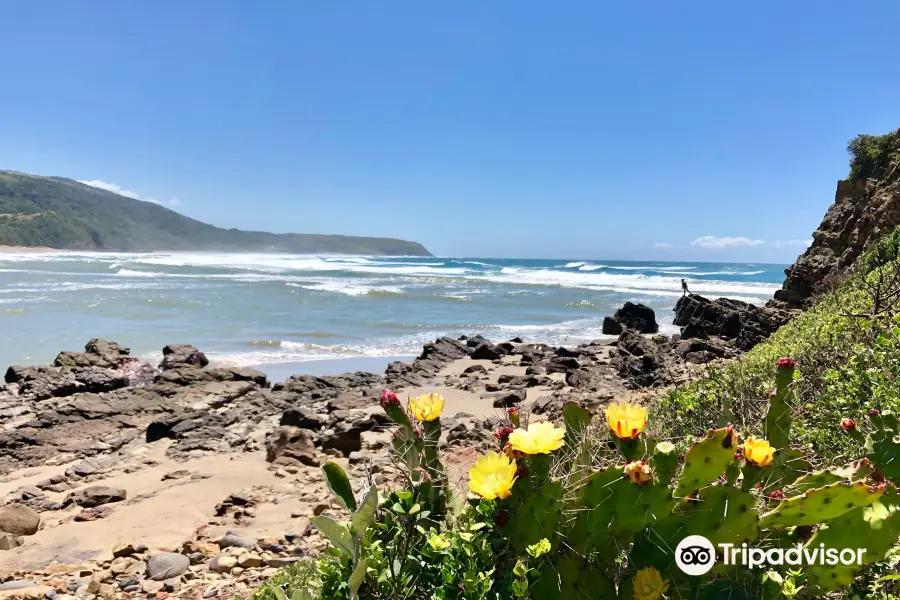 First Beach