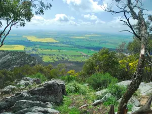 The Rock Nature Reserve