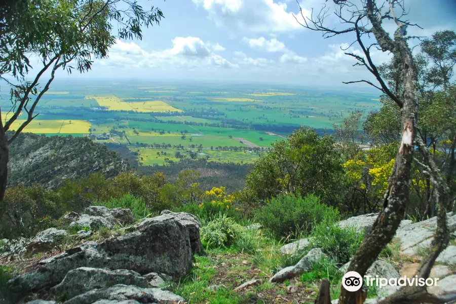 The Rock Nature Reserve - Kengal Aboriginal Place