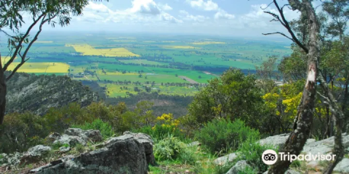 The Rock Nature Reserve