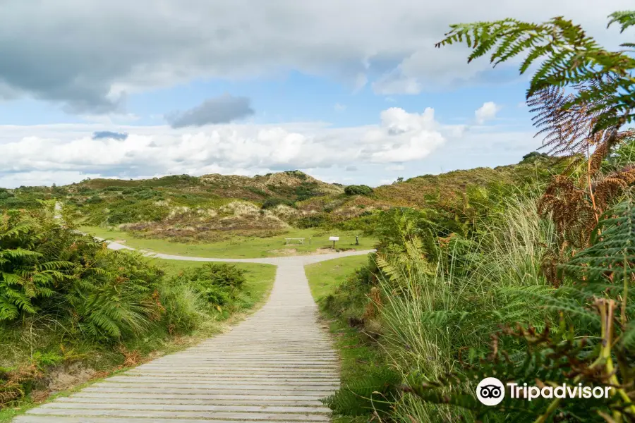 National Trust - Murlough National Nature Reserve