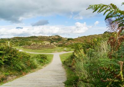 National Trust - Murlough National Nature Reserve