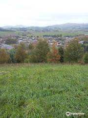 Findlay's Lookout Track