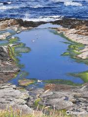 Doolin Cliff Walks