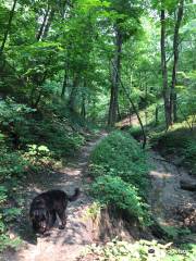 Ambrose A Call State Park