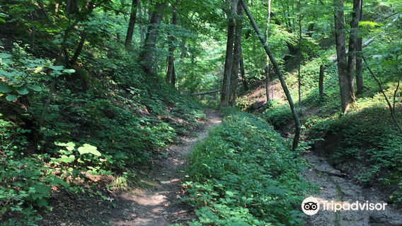 Ambrose A. Call State Park