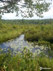 Hawley Bog Preserve