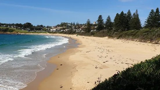 Horseshoe Bay Beach Bermagui.