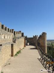 Castillo de Peñaranda de Duero