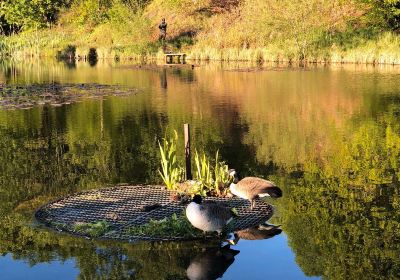 Prestwich