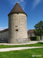 Castello di Rolle