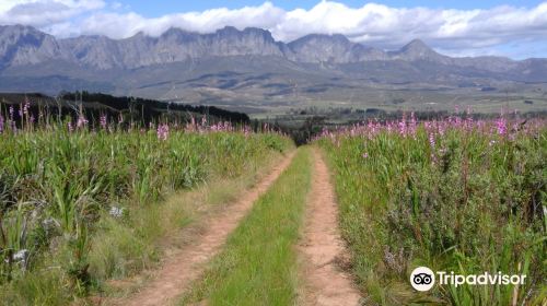 Helderberg Nature Reserve