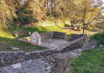 Fuente de La Zulema