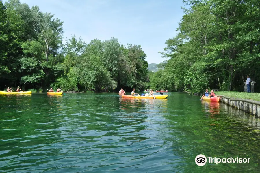 Canoe Evasion