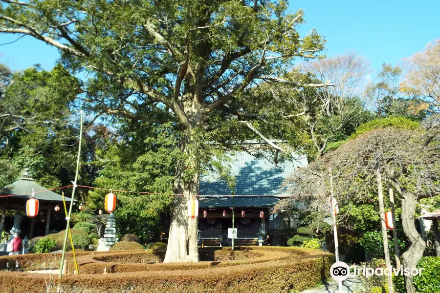 Saiko-ji Temple