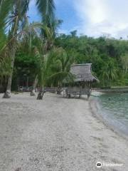 Bagatao Island