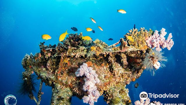 BASE Diving Centre Ltd