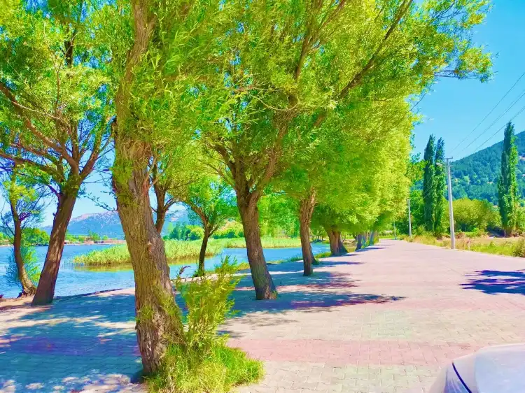 Ödemiş