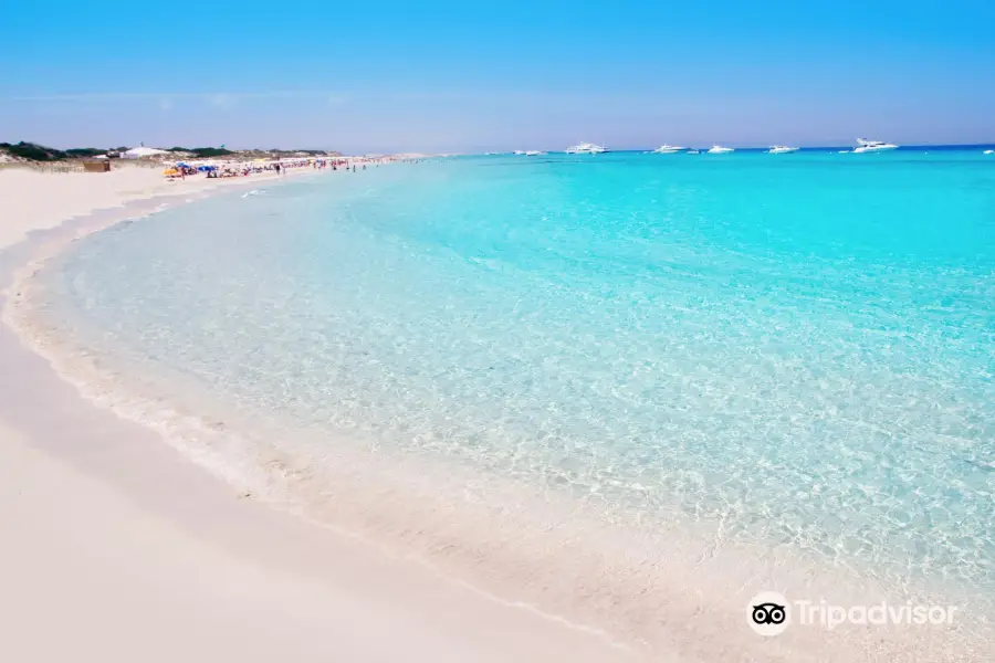 Platja de Ses Illetes