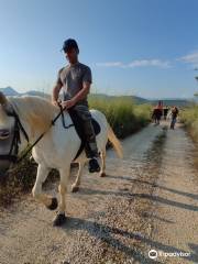 Horse Riding Alonaki