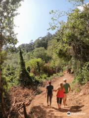 Phuket Nature Elephant Reserve