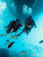 Aquarius Diving Club [Sharm el-Sheikh]