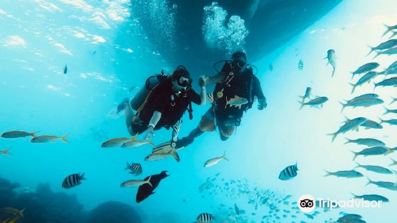 Aquarius Diving Club [Sharm el-Sheikh]