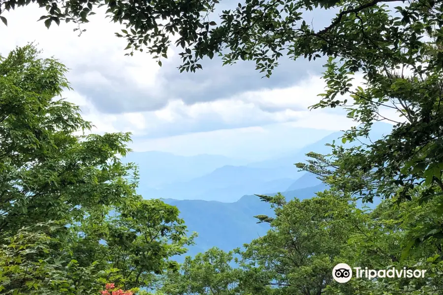 산토 산