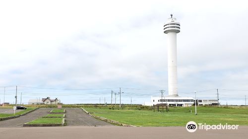 Sasagawa Memorial Tower of Peace