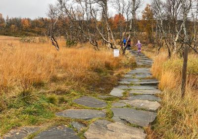 Falkenuten HIke