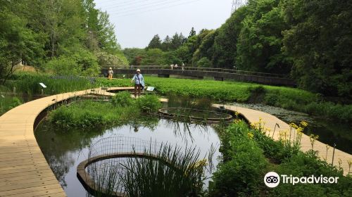 國立科學博物館筑波實驗植物園