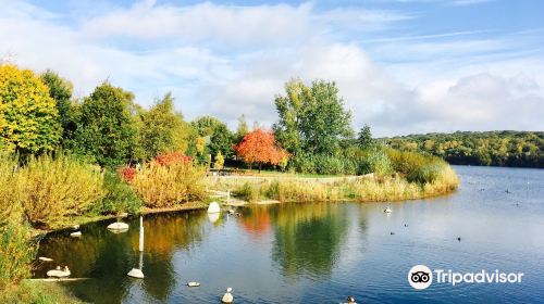 Ruislip Lido