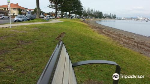 Pilot Bay Beach