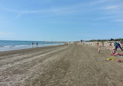 Lido Venice Beach