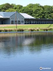 Green Valley Golf Academy