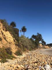 Butterfly Beach