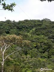 The Original Canopy Tour Monteverde