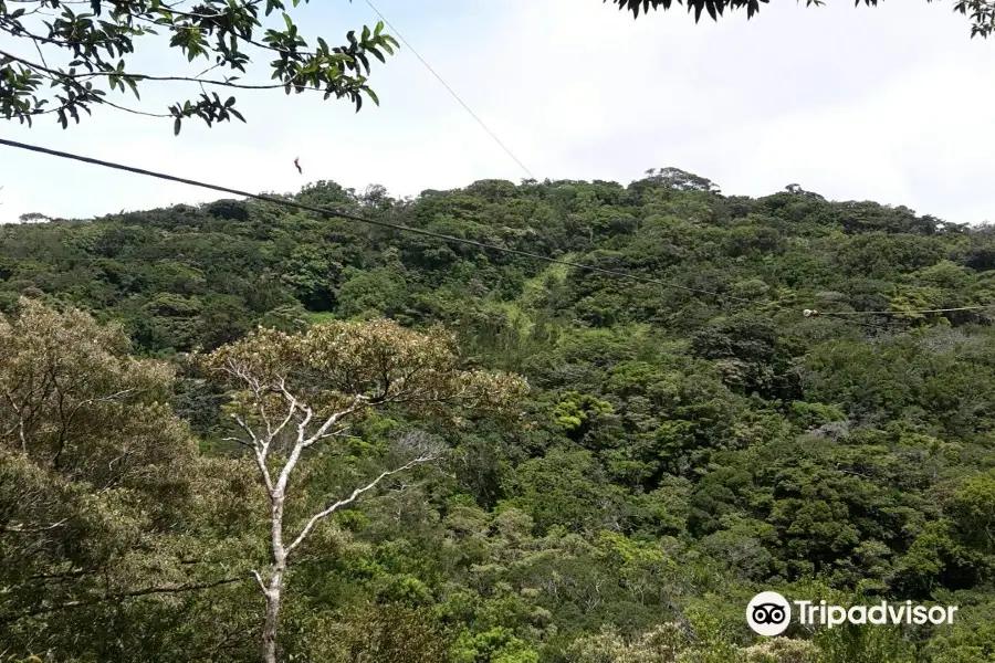 The Original Canopy Tour Monteverde