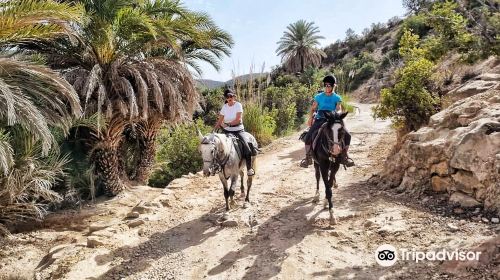 Nomad Horse Riding