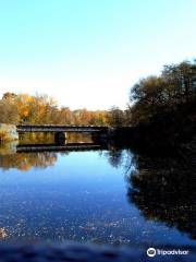 Barton Nature Area