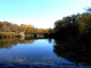 Barton Nature Area