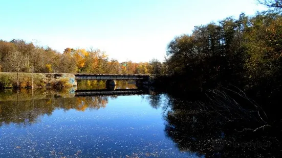 Barton Nature Area