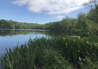 Blydenburgh County Park