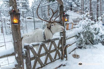 Levin Huskypuisto Oy